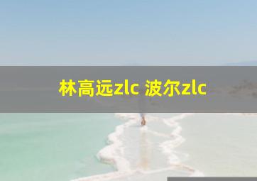 林高远zlc 波尔zlc